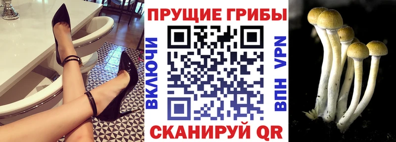 Галлюциногенные грибы прущие грибы  Азов 